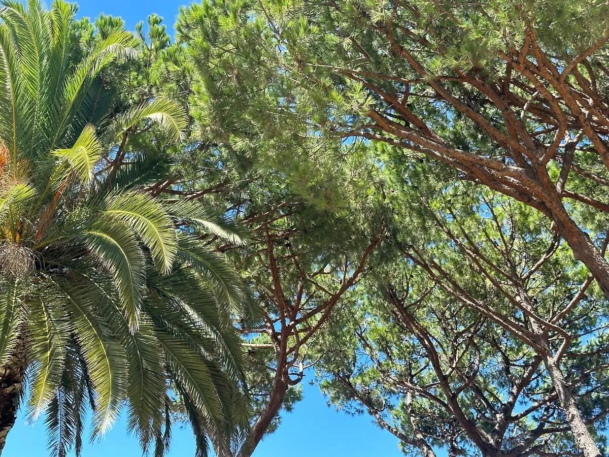 דירות אלבור Grandpa'S Nook - Torralta- Vista Mar פורטוגל
